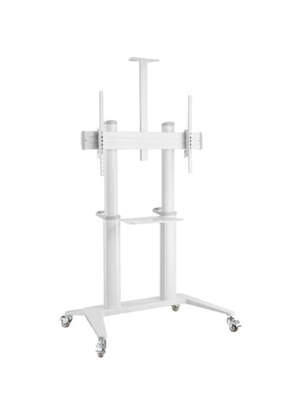 Soporte para videowall de 55" - 100" / móvil